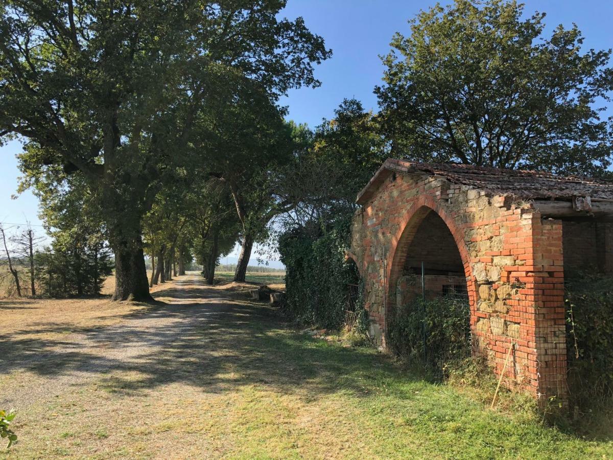 Antico Casale Silvia Alberoro Exterior foto